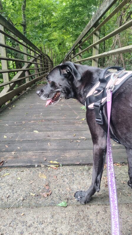 stink