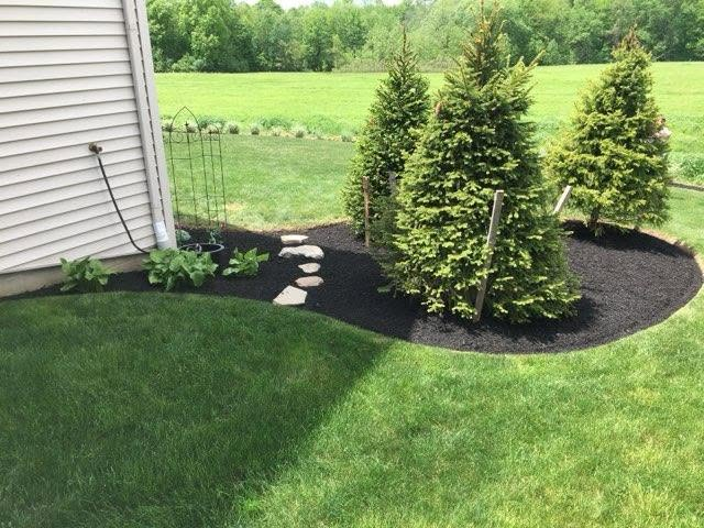 tree mulch.webp